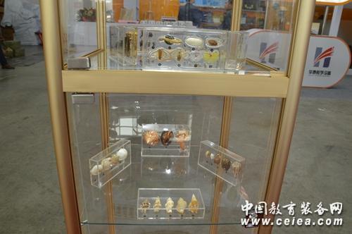 第70屆中國教育裝備展 棲霞市弘儒生物亮相(圖4)