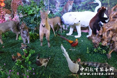 第70屆中國教育裝備展 棲霞市弘儒生物亮相(圖2)