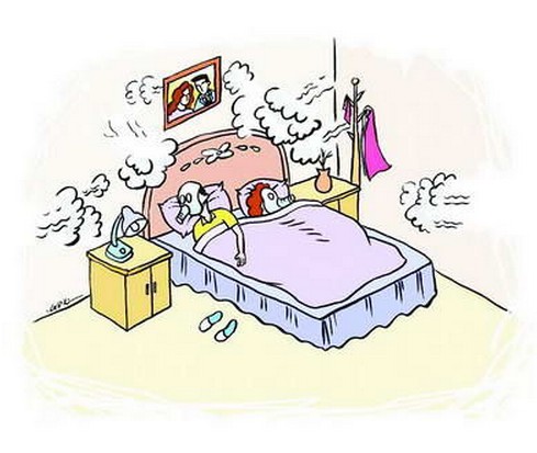 家具異味的去除方法 家具異味的去除方法