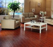 木地板和木地板圖片欣賞