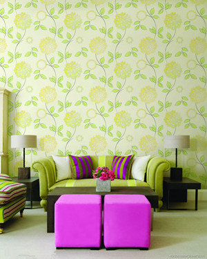 家居墻紙 家居墻紙