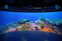 展廳背后:新業(yè)務(wù)“娛樂解決方案”坐鎮(zhèn)