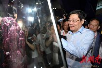 第五屆中國(guó)(湖南)國(guó)際礦物寶石博覽會(huì)